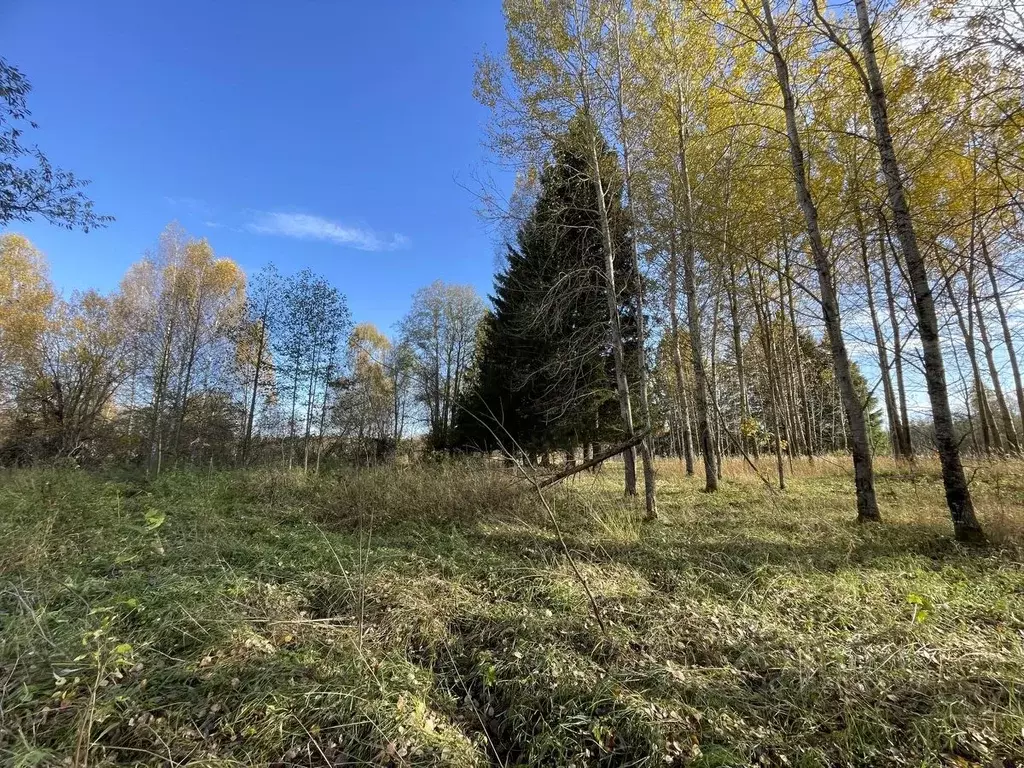 Участок в Тверская область, Конаковский муниципальный округ, д. ... - Фото 1