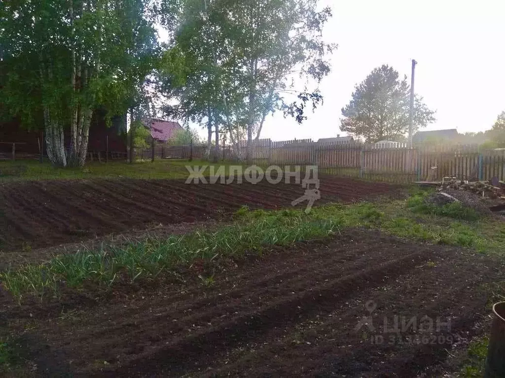 Участок в Новосибирская область, Новосибирский район, Новолуговской ... - Фото 0