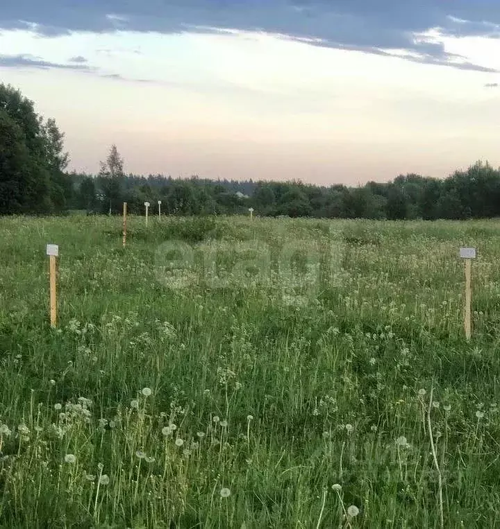 Участок в Ленинградская область, Всеволожский район, Куйвозовское ... - Фото 0