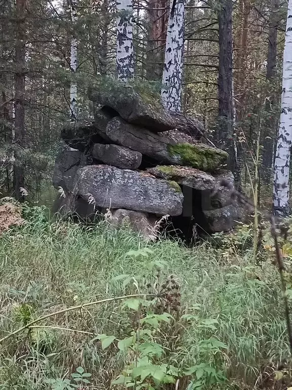 Участок 20 сот. (ИЖС) - Фото 0