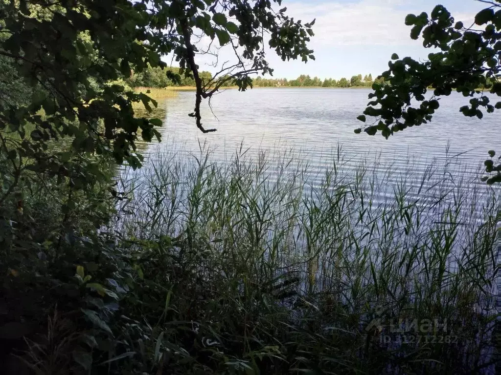 Участок в Вологодская область, Вытегорский район, Оштинское с/пос, д. ... - Фото 1