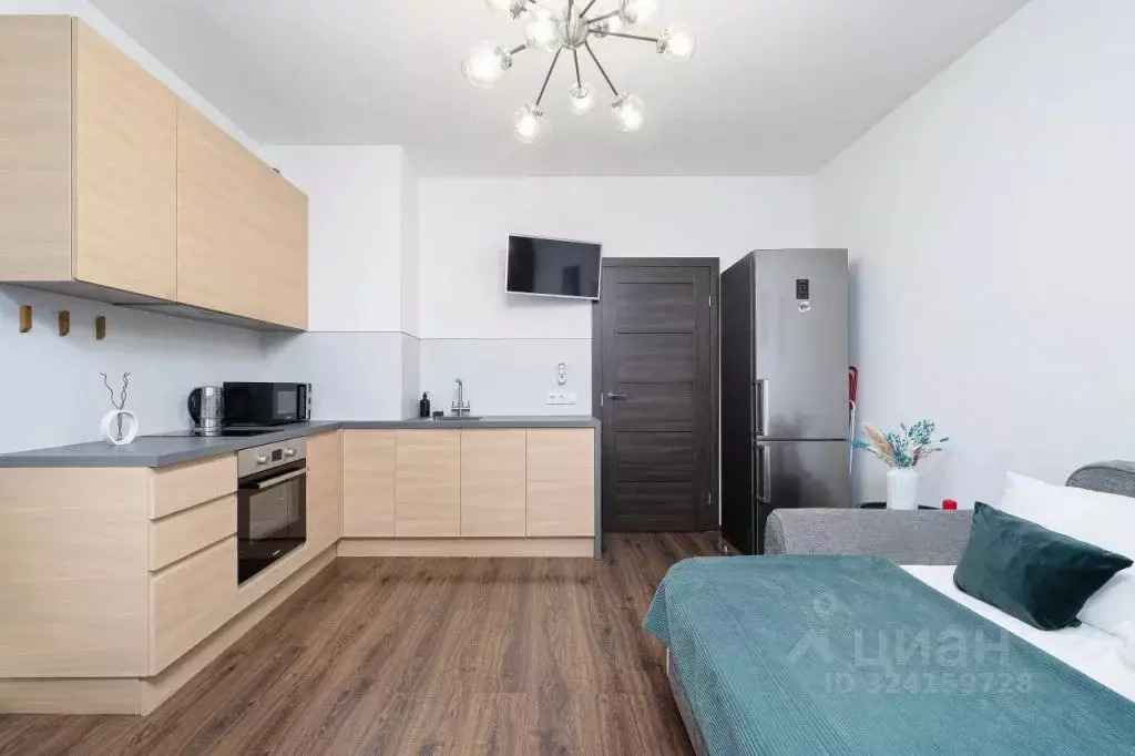 1-к кв. Санкт-Петербург Кузнецовская ул., 58к1 (25.0 м) - Фото 2