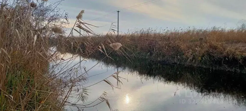 Участок в Краснодарский край, Анапа муниципальный округ, пос. ... - Фото 2