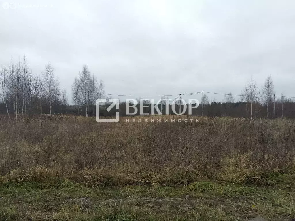 Участок в Кострома, Фабричный район, улица Валентина Зайцева (9 м) - Фото 1