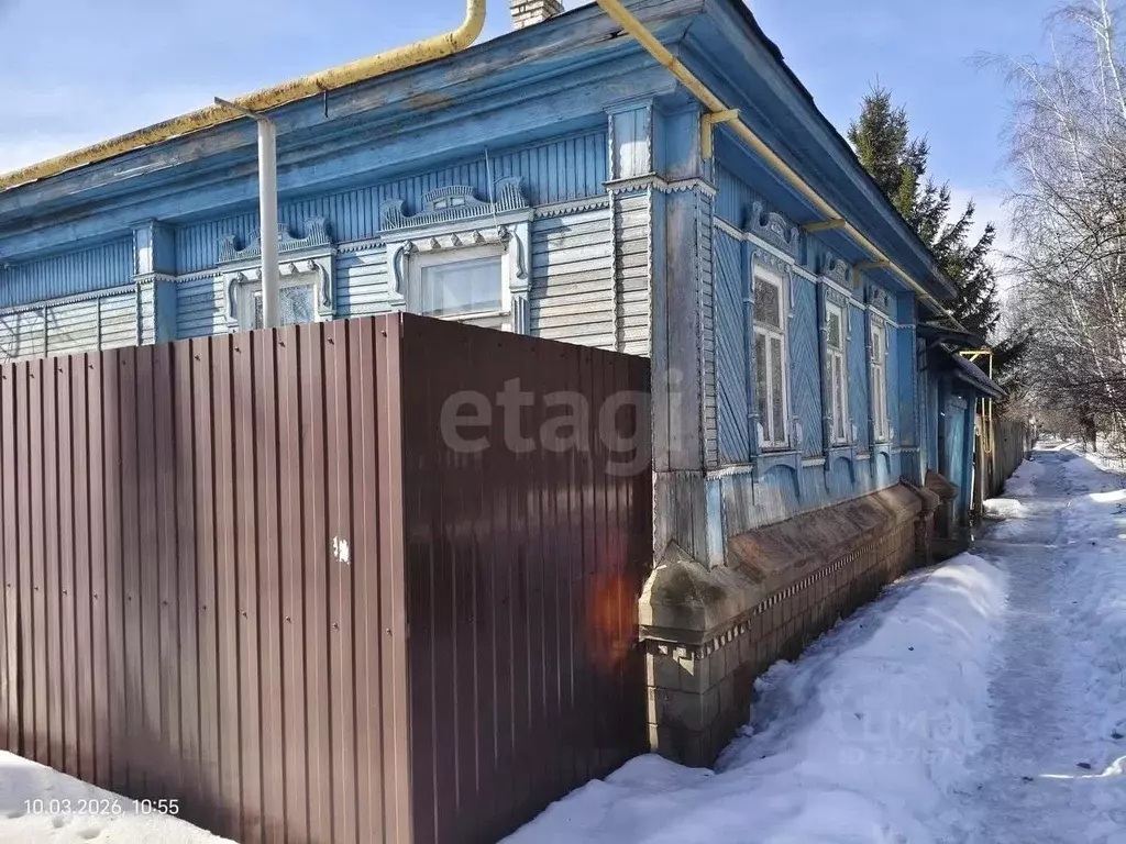 Дом в Воронежская область, Борисоглебск Третьяковская ул., 54 (55 м) - Фото 2