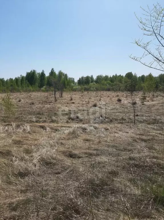 Участок в Курганская область, Шадринск Тюменская ул. (10.3 сот.) - Фото 0