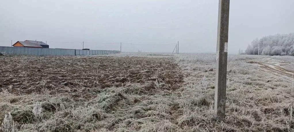 Участок в Марий Эл, Медведевский район, Азяковское с/пос, д. Шеклянур ... - Фото 1