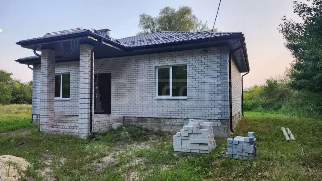 Дом в Воронежская область, с. Новая Усмань ул. Октябрьская, 32 (90 м) - Фото 0