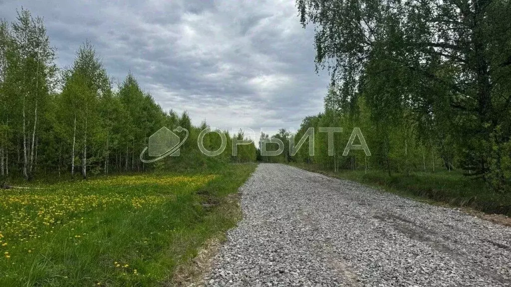 Участок в Тюменская область, Тюменский район, Новокаменский кп ул. ... - Фото 0