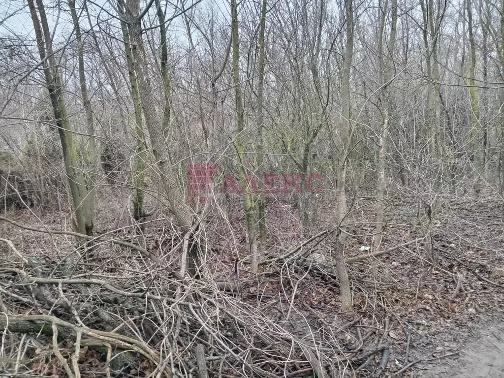 Участок в Ростовская область, Ростов-на-Дону Лазурная ул. (6.77 сот.) - Фото 2