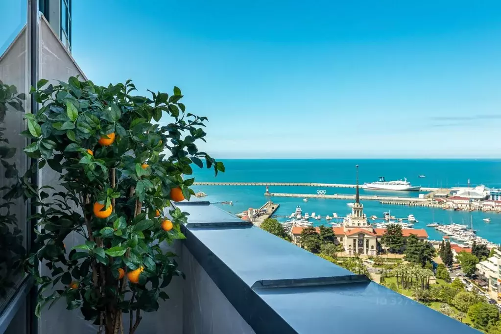 3-к кв. Краснодарский край, Сочи Центральный мкр, ул. Войкова, 21 ... - Фото 1