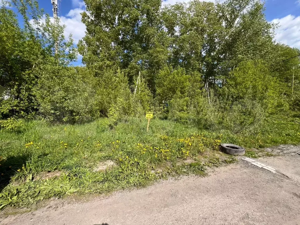 Участок 6,5 сот. (ИЖС) - Фото 1