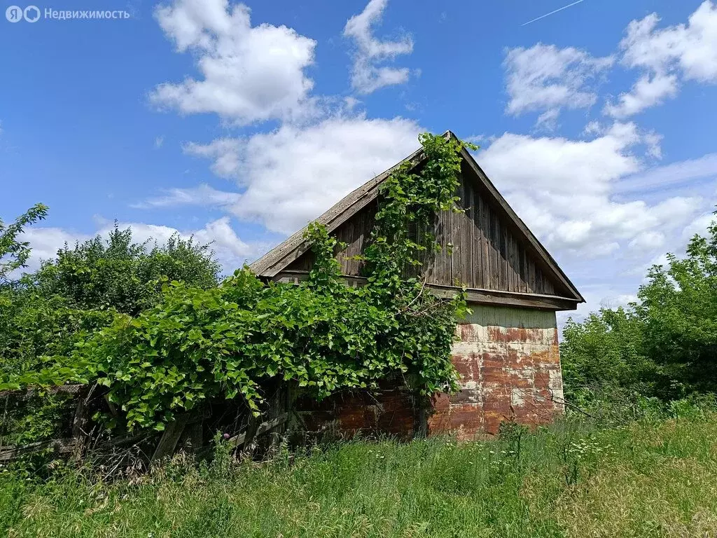 Дом в Петровка, Олимпийская улица (55 м) - Фото 1