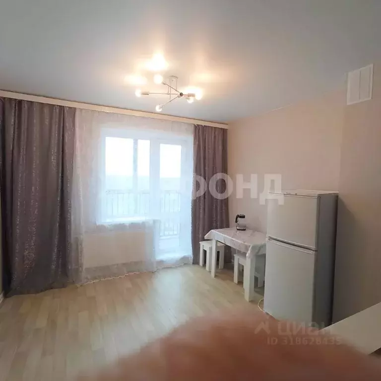 Студия Новосибирская область, Новосибирск Спортивная ул., 37 (24.0 м) - Фото 1