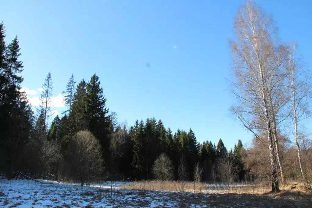 Дом в Московская область, Рузский муниципальный округ, Нива СНТ 29 ... - Фото 2