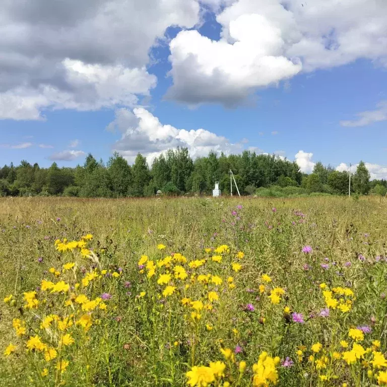 Участок в Московская область, Щелково городской округ, д. Маврино ул. ... - Фото 0