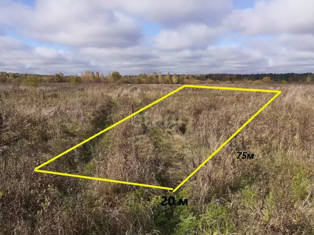 Участок в Брянская область, Брянский район, с. Журиничи Партизанская ... - Фото 1