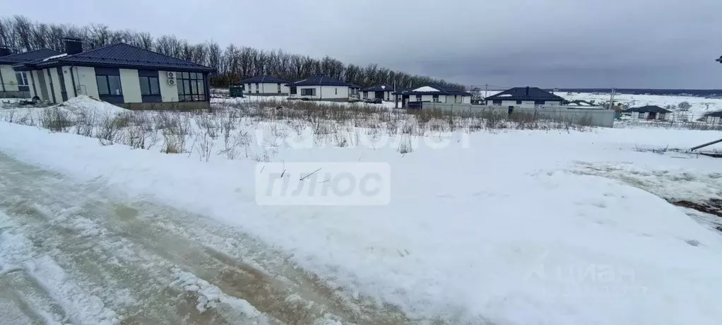Участок в Воронежская область, Хохольский район, с. Новогремяченское ... - Фото 2