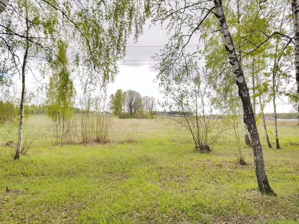 Участок в Москва № 68 кв-л,  (920.0 сот.) - Фото 2