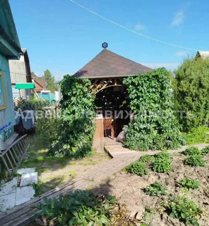 дом в тюменская область, тюмень автомобилист снт, ул. малиновая, 804 . - Фото 1