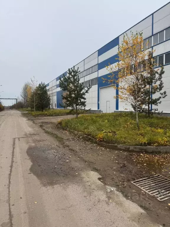 Помещение свободного назначения в Московская область, Домодедово Белые ... - Фото 1