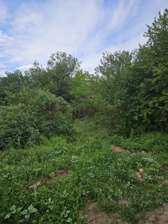 Участок в Ростовская область, Новочеркасск Троицкая ул., 107 (6.0 ... - Фото 0