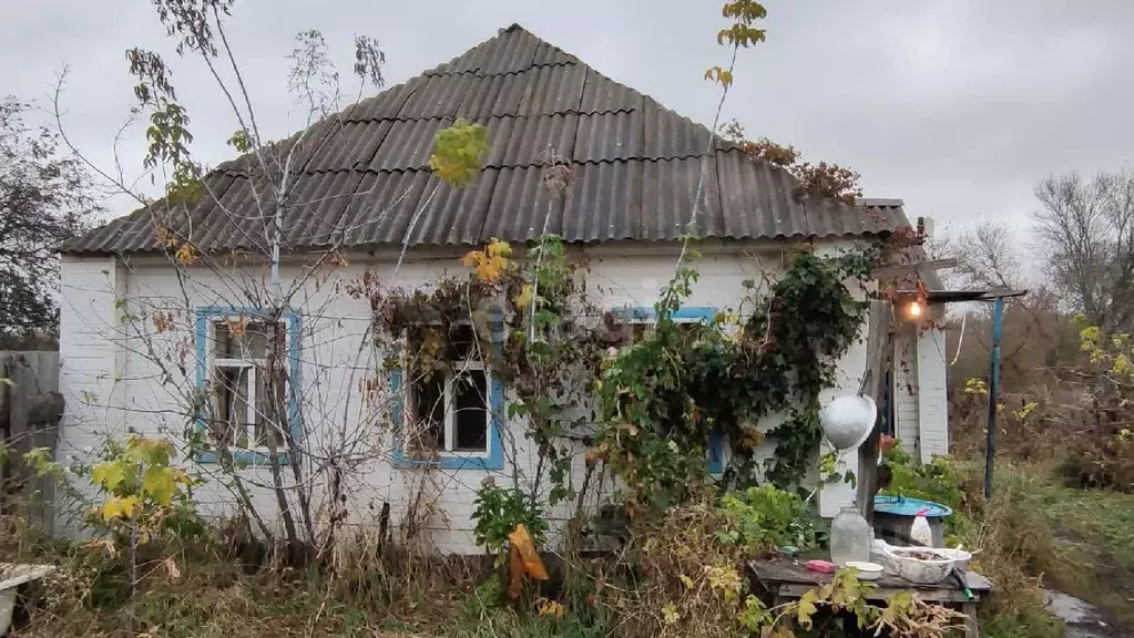 Дом в Белгородская область, Красногвардейский район, Калиновское ... - Фото 0