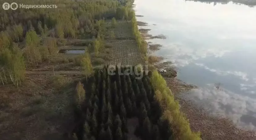 Участок в Ярославская область, сельское поселение Некрасовское, ... - Фото 1