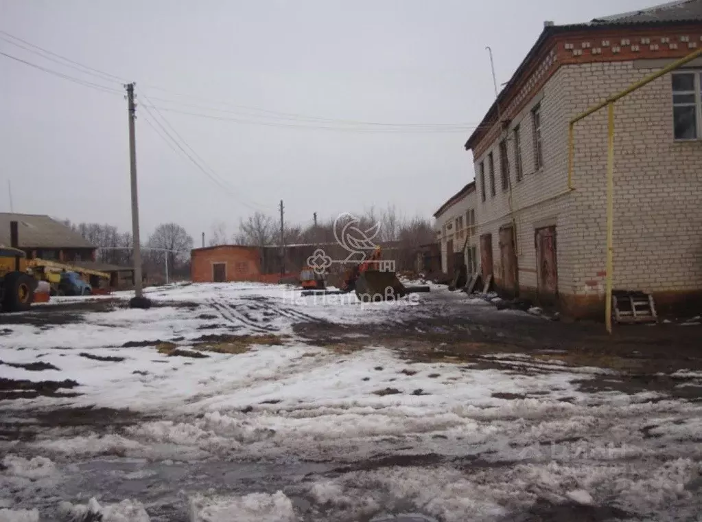 Производственное помещение в Курская область, Черемисиново рп ул. ... - Фото 1