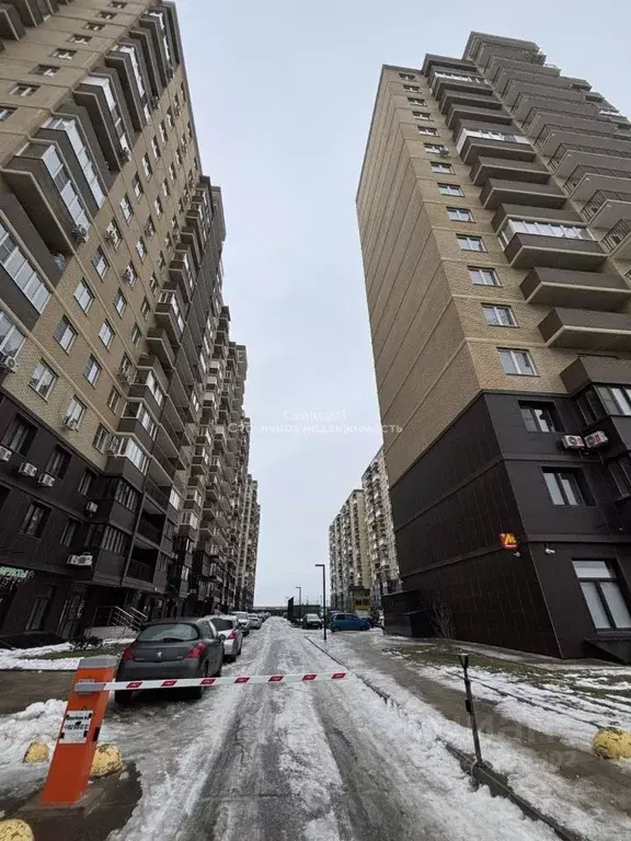 1-к кв. Краснодарский край, Краснодар ул. Имени Героя Ростовского, 8 ... - Фото 1