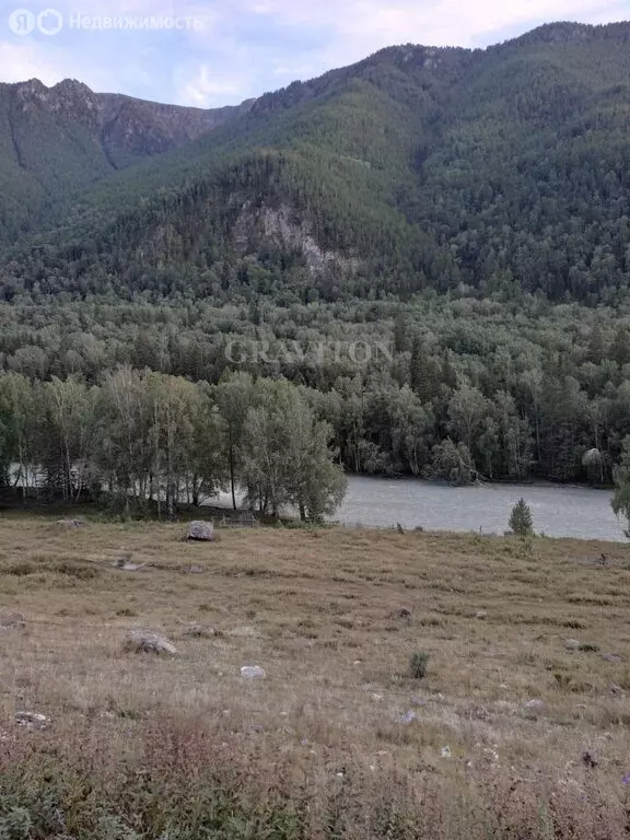 Участок в Онгудайский район, село Иодро (73.66 м) - Фото 1
