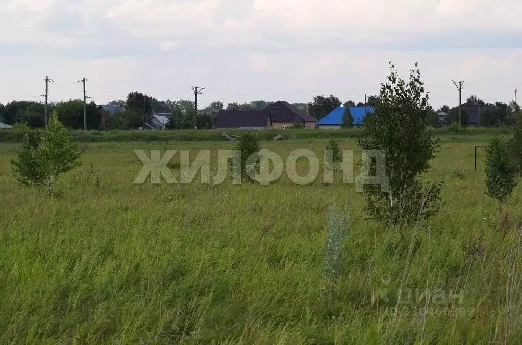 Участок в Новосибирская область, Новосибирский район, Станционный ... - Фото 2