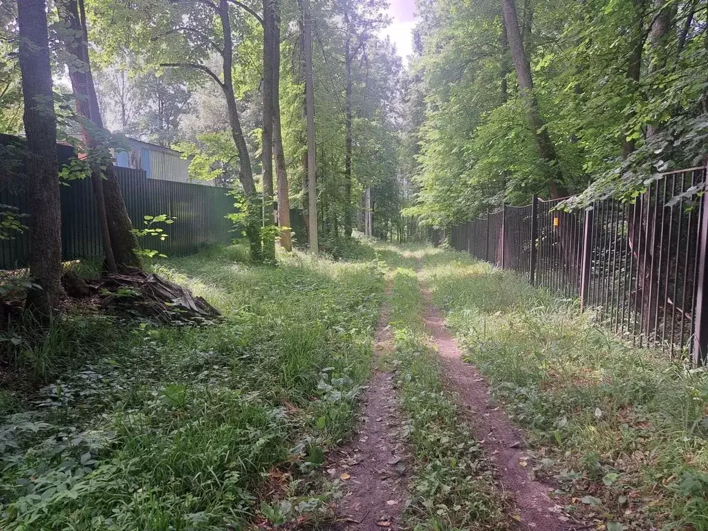 Участок в Московская область, Пушкинский городской округ, д. ... - Фото 2