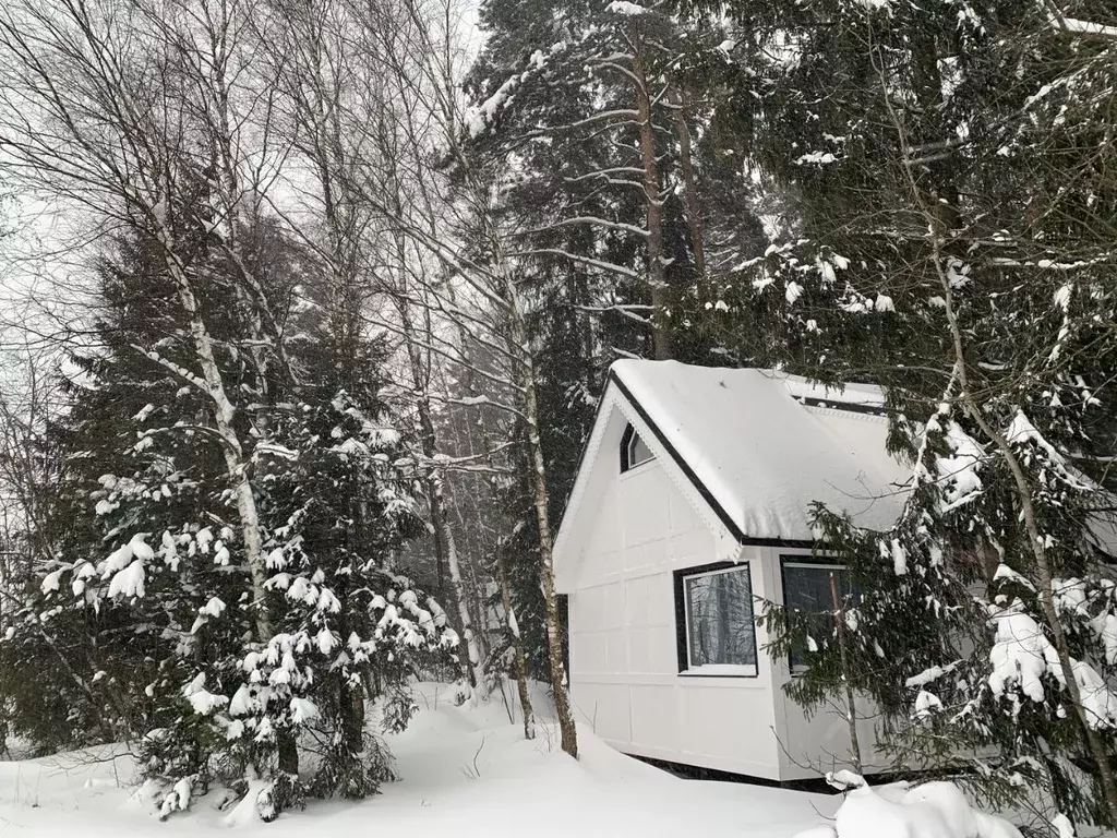 Дом в Московская область, Богородский городской округ, д. Дядькино ... - Фото 1
