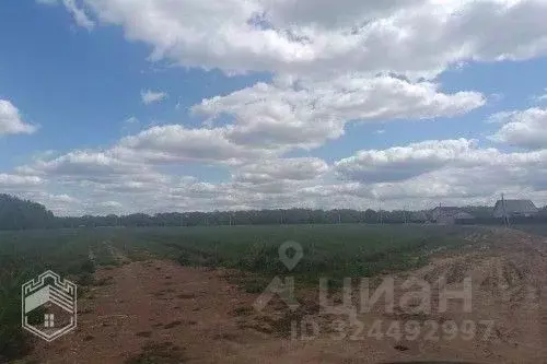 Участок в Новгородская область, Новгородский район, Савинское с/пос, ... - Фото 1