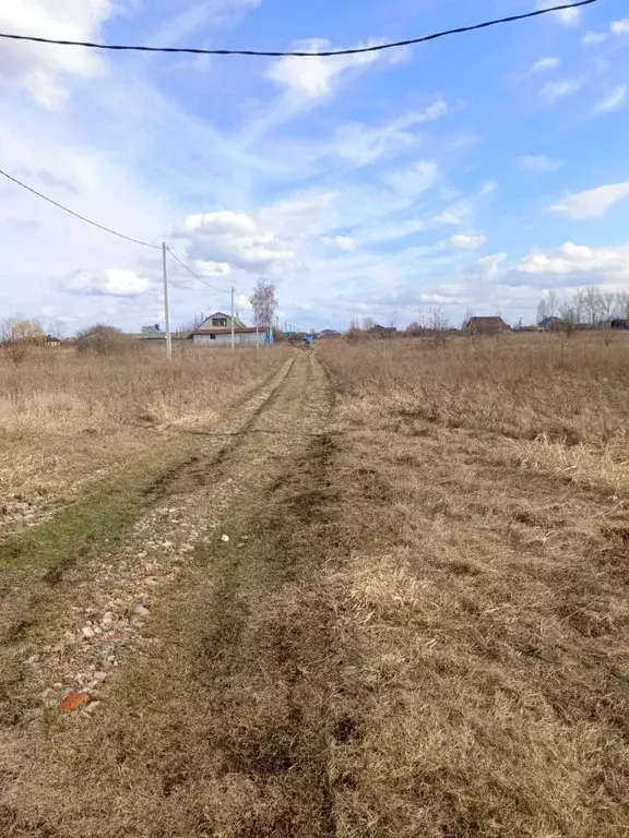 Участок в Воронежская область, с. Новая Усмань ул. Кленовая (6.0 сот.) - Фото 1