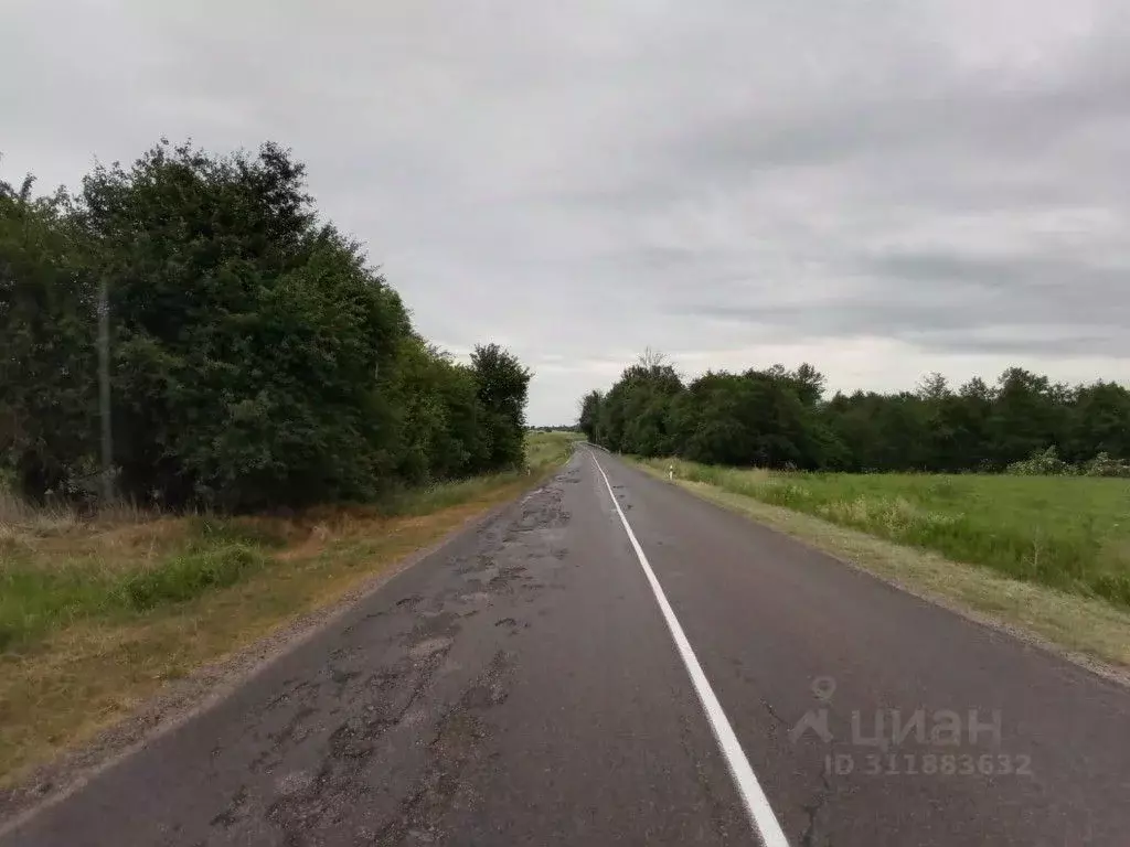 Участок в Калининградская область, Багратионовский муниципальный ... - Фото 1