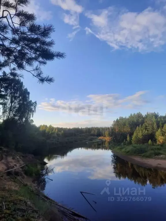 Участок в Вологодская область, Кадуйский муниципальный округ, д. Уйта  ... - Фото 1