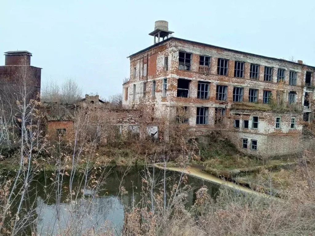 Производственное помещение в Свердловская область, Белоярский ... - Фото 1