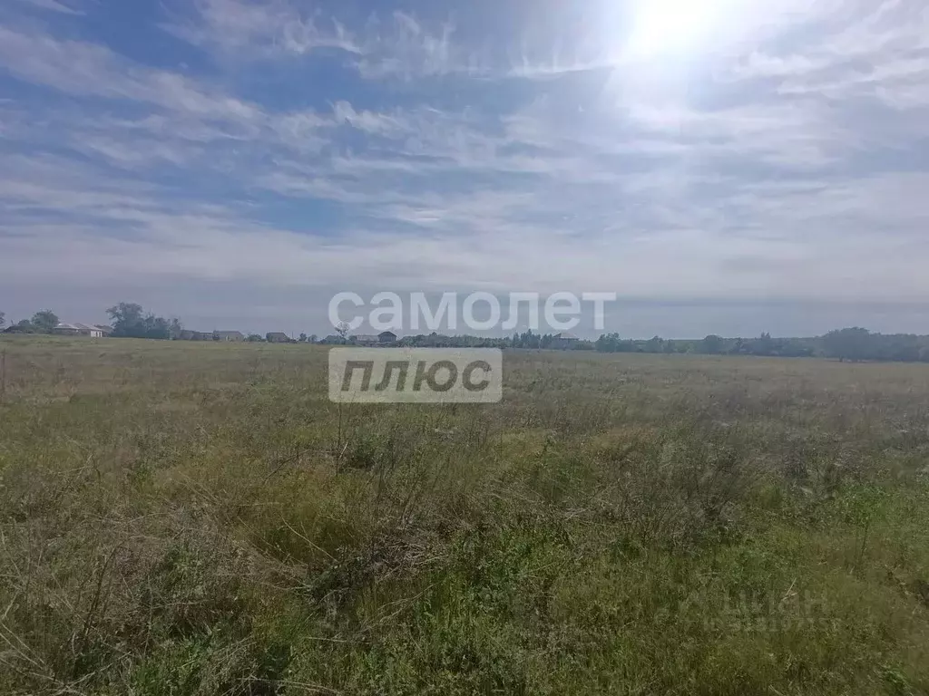 Участок в Курская область, Золотухинский район, Тазовский сельсовет, ... - Фото 0