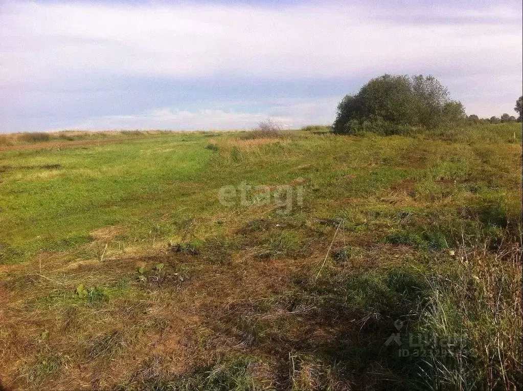 Участок в Калужская область, Малоярославецкий муниципальный округ, с. ... - Фото 2