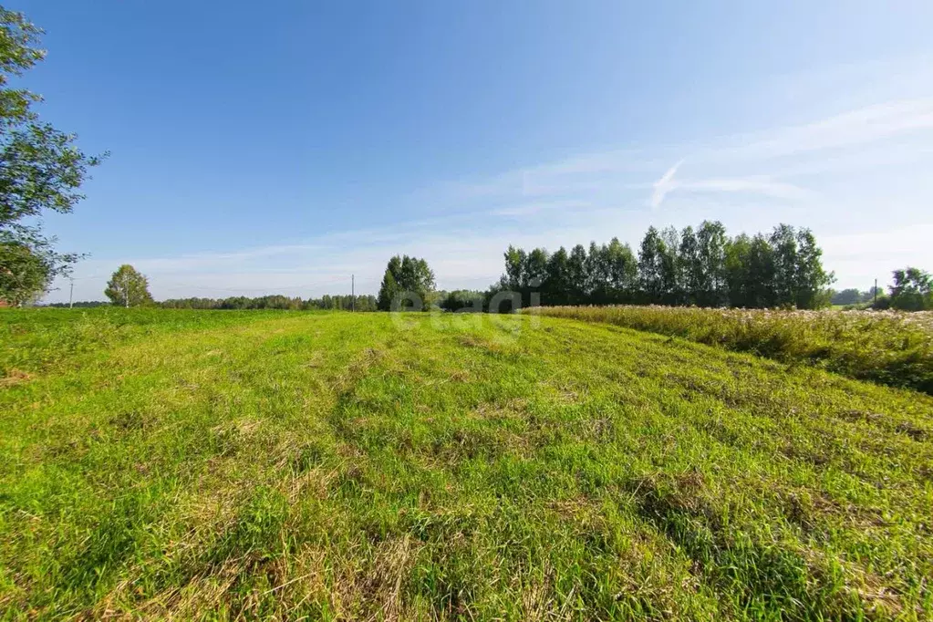 Участок в Томская область, Томский район, Богашевское с/пос, д. ... - Фото 1