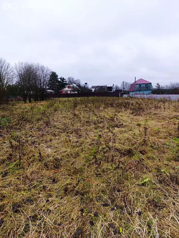 Участок в Ленинградская область, Гатчинский муниципальный округ, ... - Фото 2