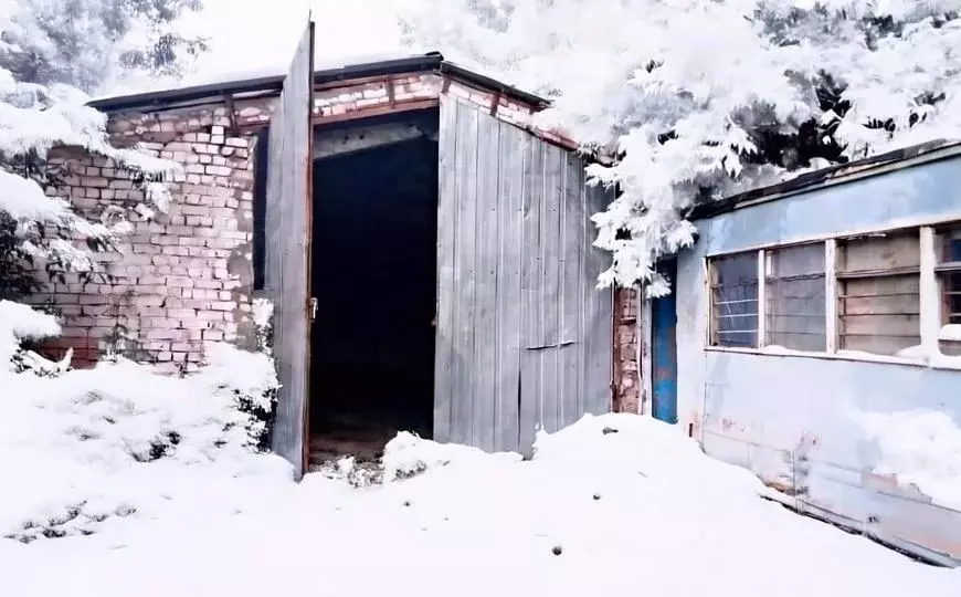 Производственное помещение в Самарская область, Большая Глушица с/пос, ... - Фото 1