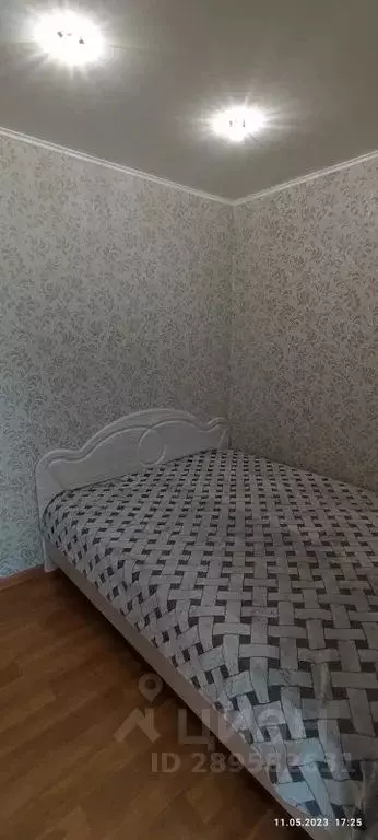 2-к кв. Татарстан, Буинск Строительная ул., 29 (38.0 м) - Фото 2