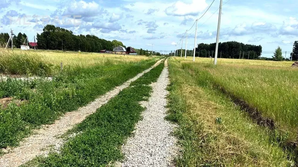 Участок в Новосибирская область, Новосибирский район, Толмачевский ... - Фото 2