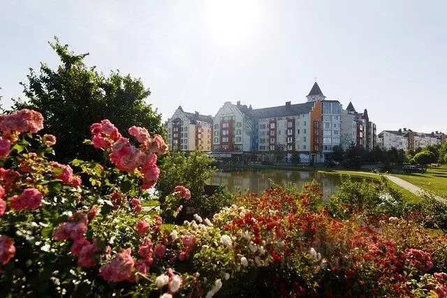 Студия Краснодарский край, Краснодар ул. Карпатская, 5 (28.0 м) - Фото 1