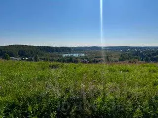 Участок в Московская область, Дмитровский городской округ, д. Сбоево  ... - Фото 1