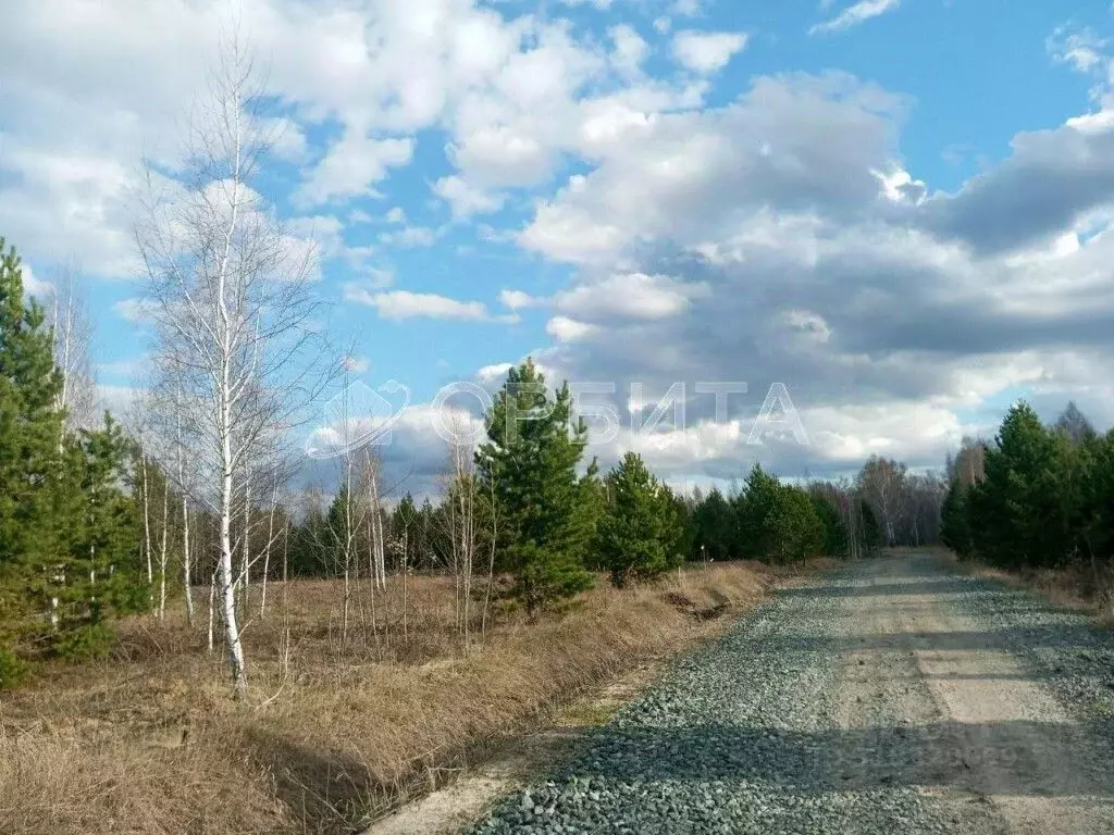 Участок в Тюменская область, Тюменский район, Новокаменский кп ул. ... - Фото 1