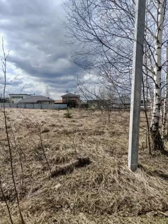 Участок в Нижегородская область, Нижний Новгород с. Елховка, ул. ... - Фото 2